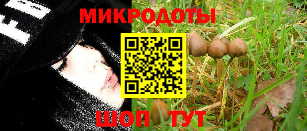 Шелехов  Галлюциногенные грибы MAGIC MUSHROOMS  Вход с VPN  купить наркотики сайты  Галлюциногенные грибы MAGIC MUSHROOMS 